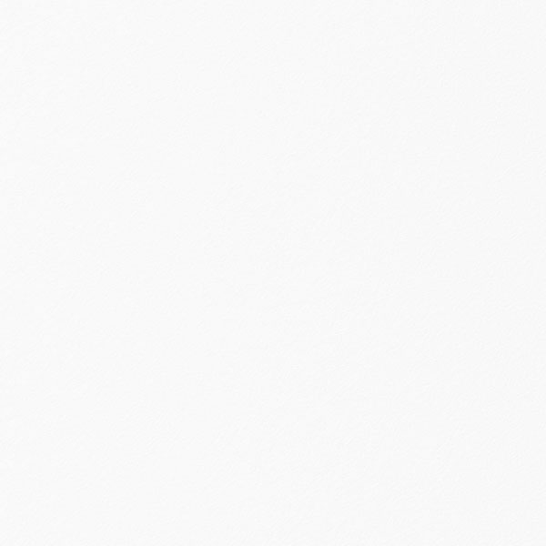 COLOR - 01 White.jpg